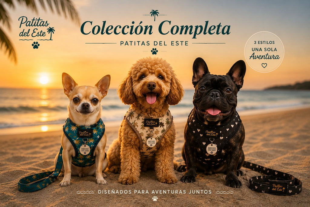 Pack 3 Kits — Colección Completa Patitas del Este